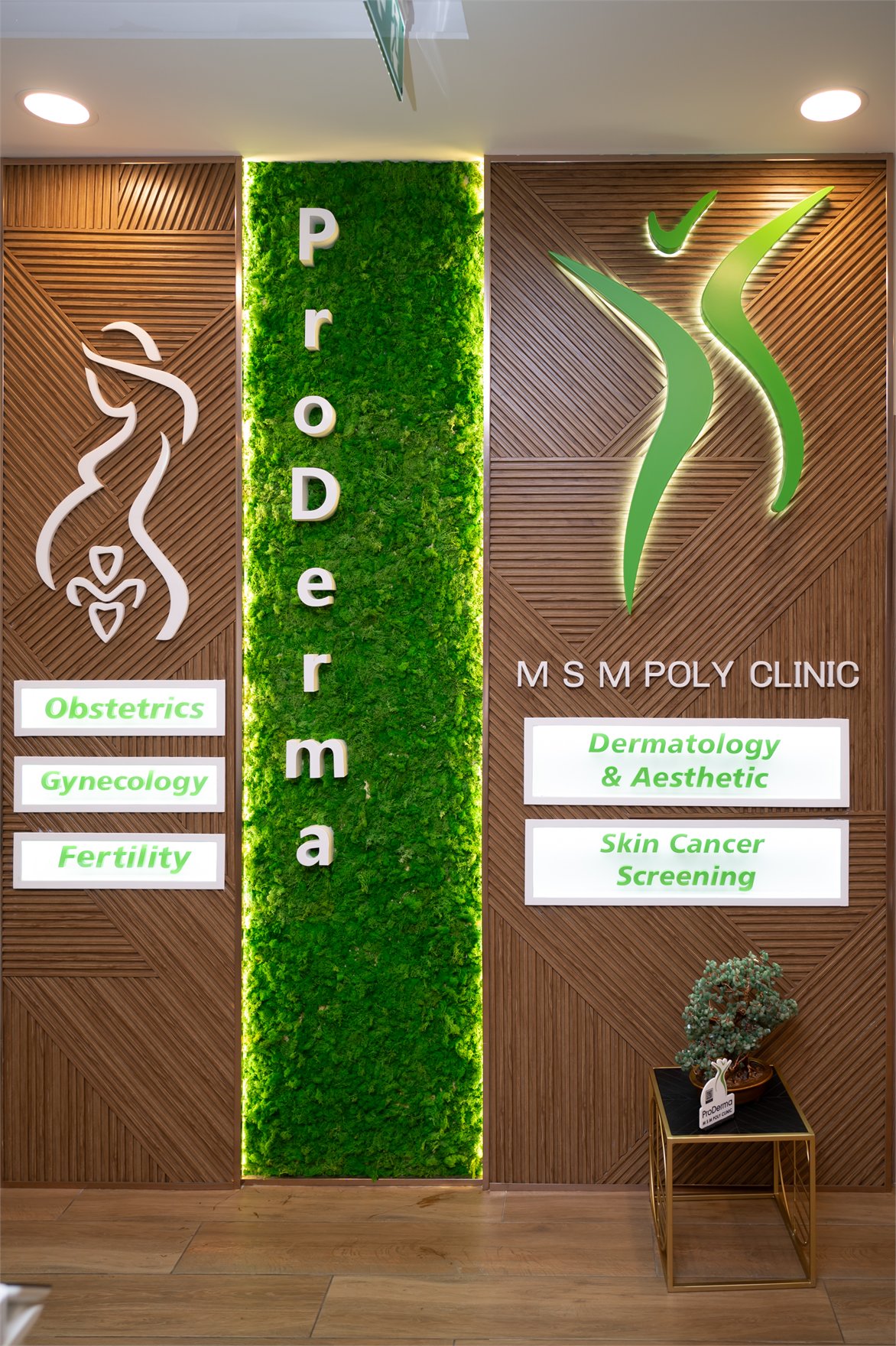 MSM Pro Derma reception with ProDerma living wall